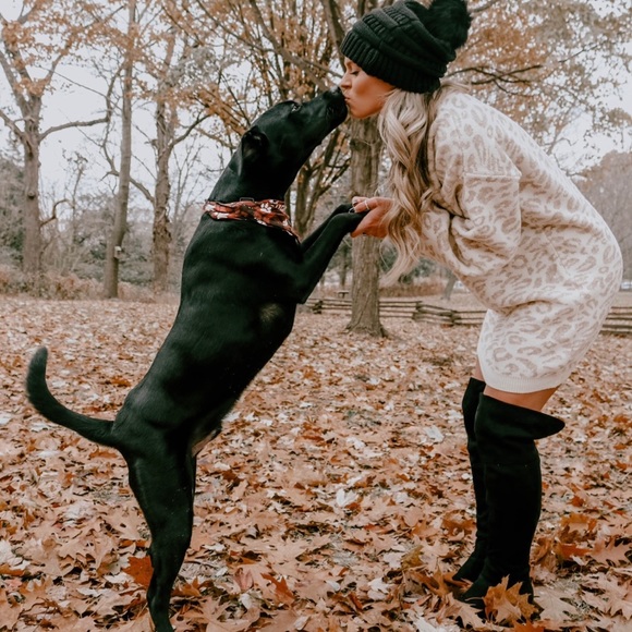 Meet your Posher, Ashley - Picture 7 of 7